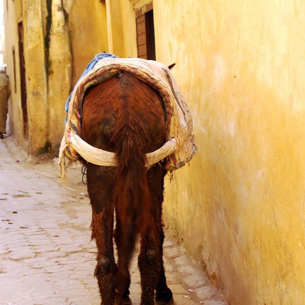no huggies in the medina (10)