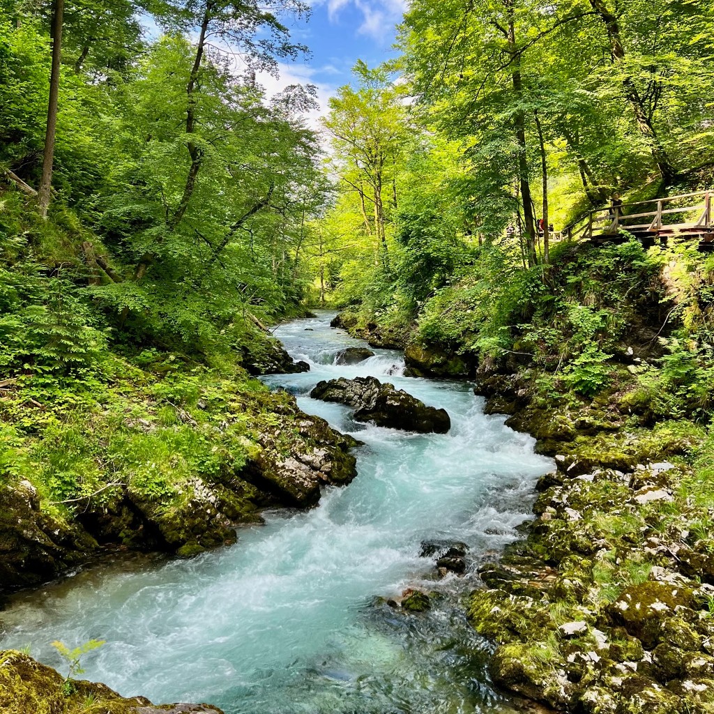 slovenia_waterfall(1)